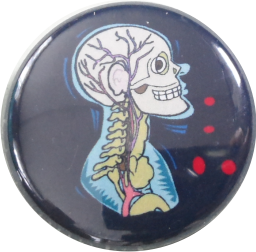 Skeleton transparent Badge